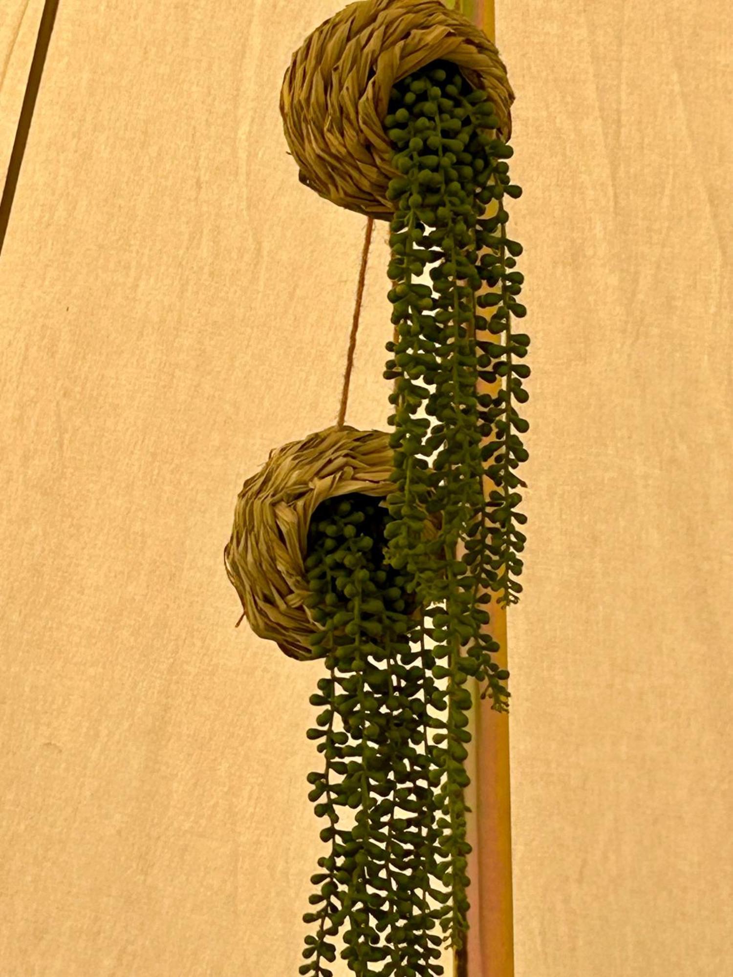 Chambre Au Jardin Tente De Charme Eguzon-Chantome Extérieur photo