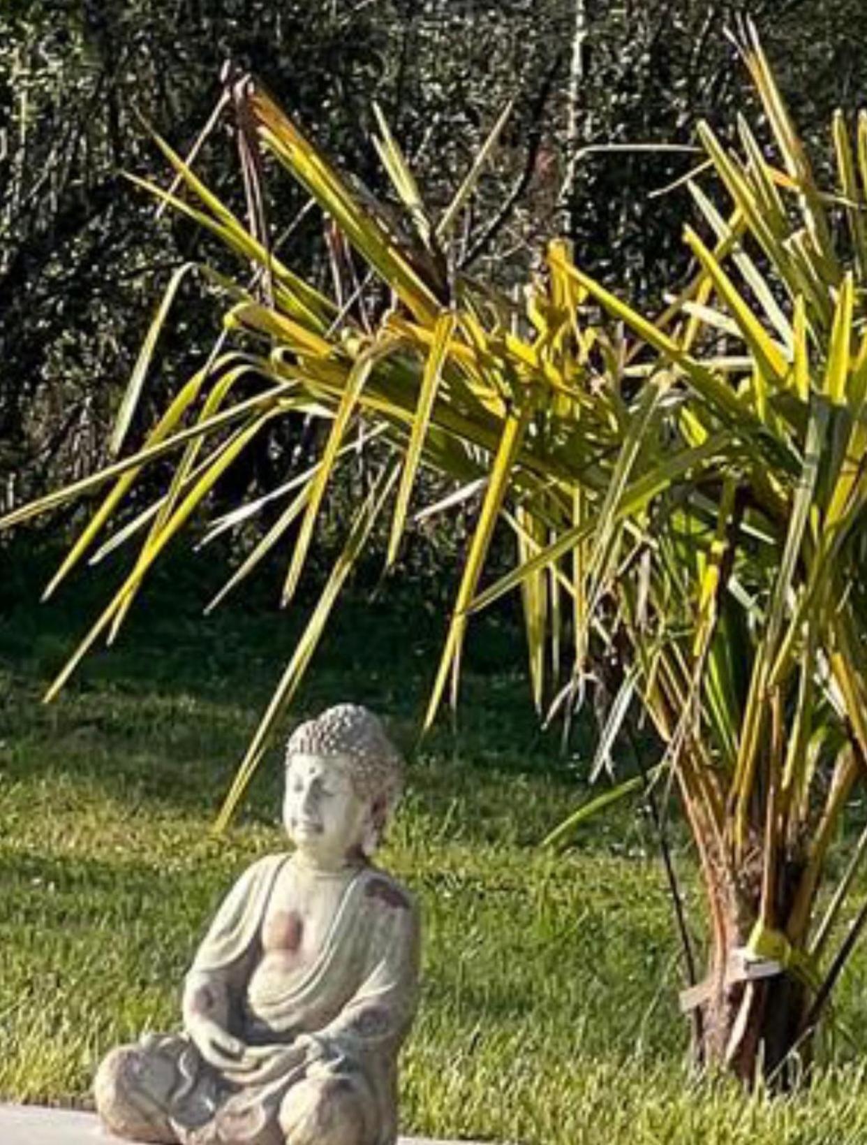 Chambre Au Jardin Tente De Charme Eguzon-Chantome Extérieur photo